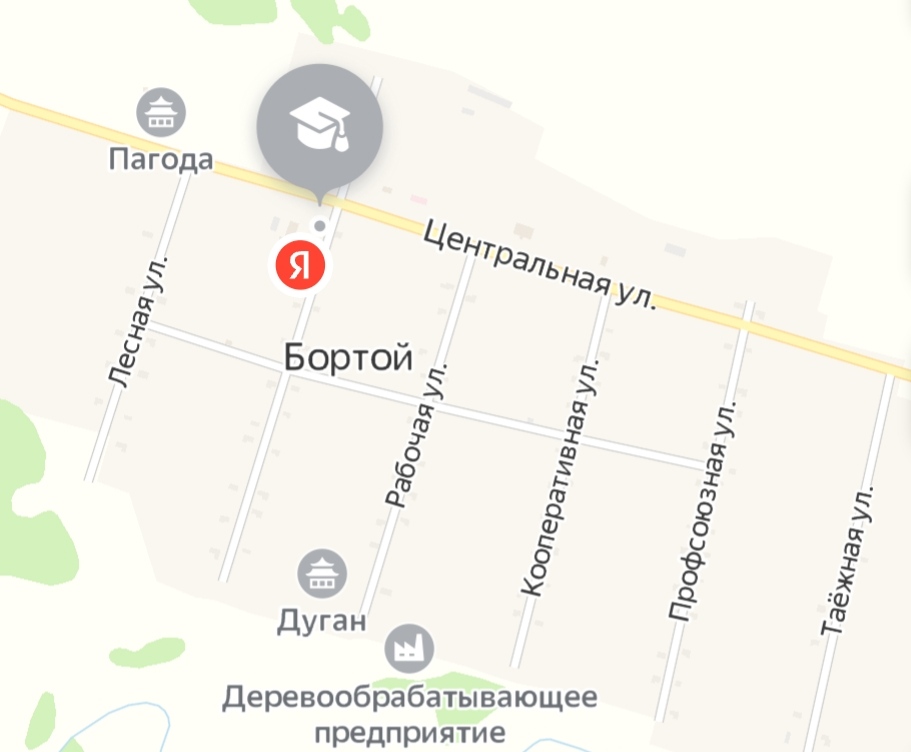 Бортой